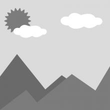 Сайновая муфта агент Sulane 200